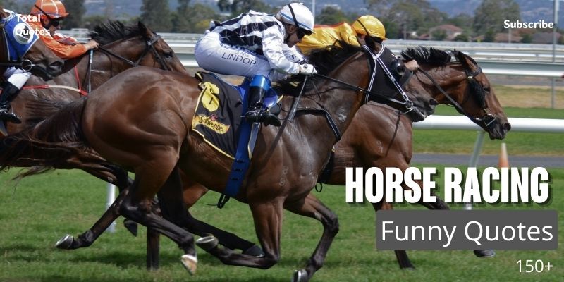 Horse racing quotes