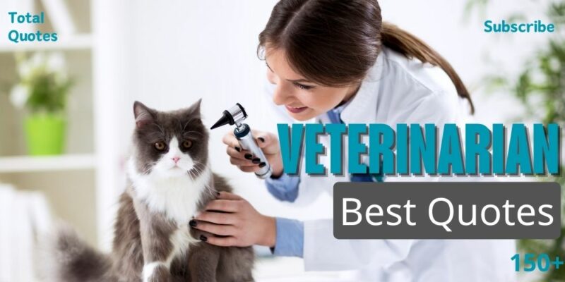 150+ Best Veterinarian Sayings - Veterinary Doctor Quotes