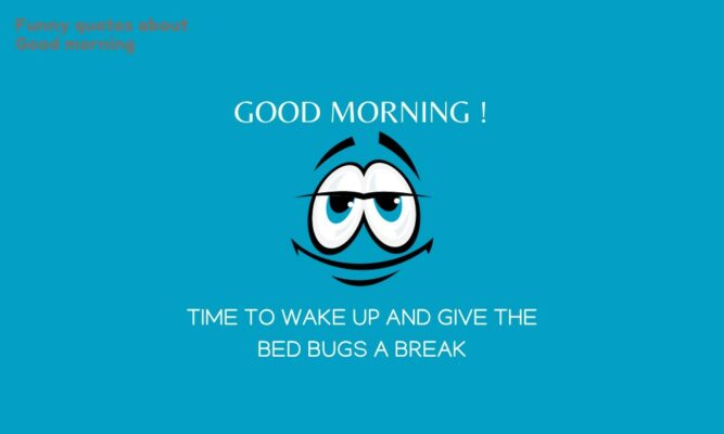 Funny quotes about good morning